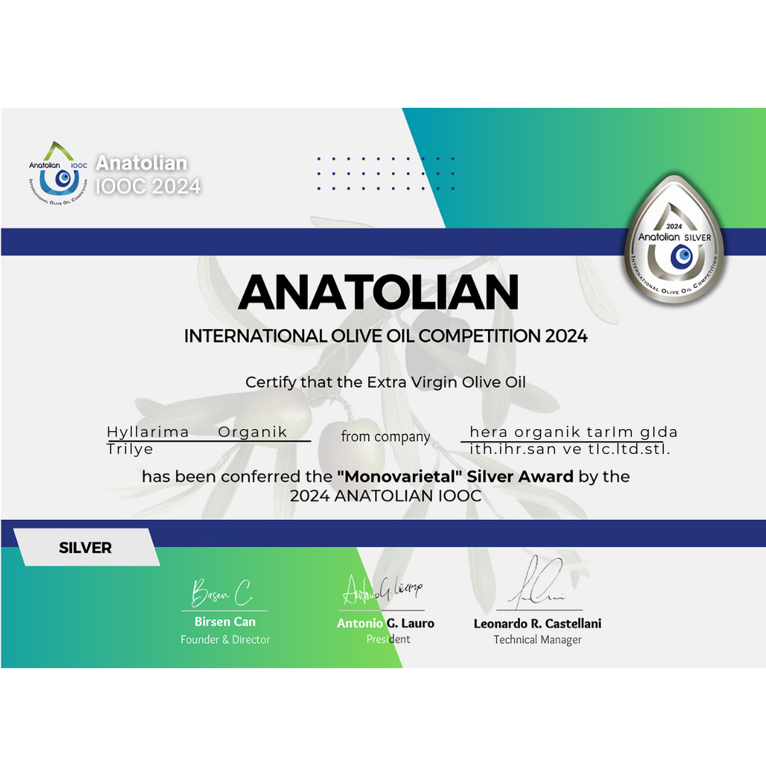 Anatolian International Olive Oil Competition 2024 certificate for Extra Virgin Olive Oil